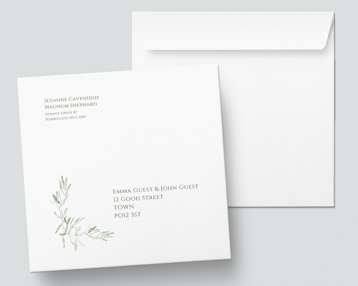 Olive - Square Envelope